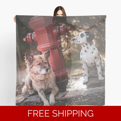 Le Studio Scarf Rush Signals Statue 2 Dogs